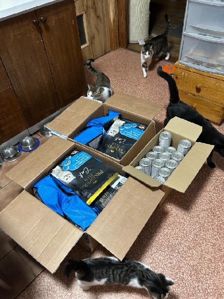 Navždy s láskou tlapičkám